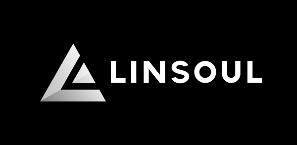 LINSOUL 10-Year Anniversary Meetup