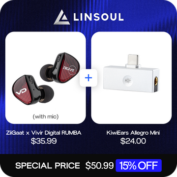 ZiiGaat x Vivir Digital: RUMBA (With Mic) + Kiwi Ears Allegro Mini