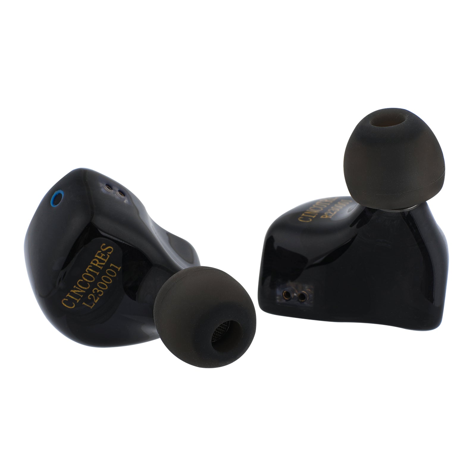 ZiiGaat Cincotres | Studio Tuning 2DD+3BA Hybrid IEM – Linsoul Audio