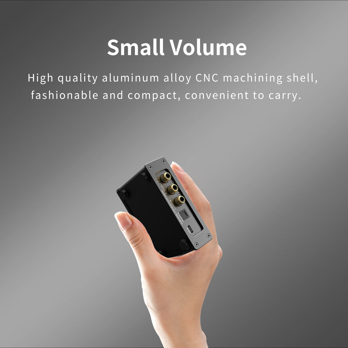 SMSL DS100