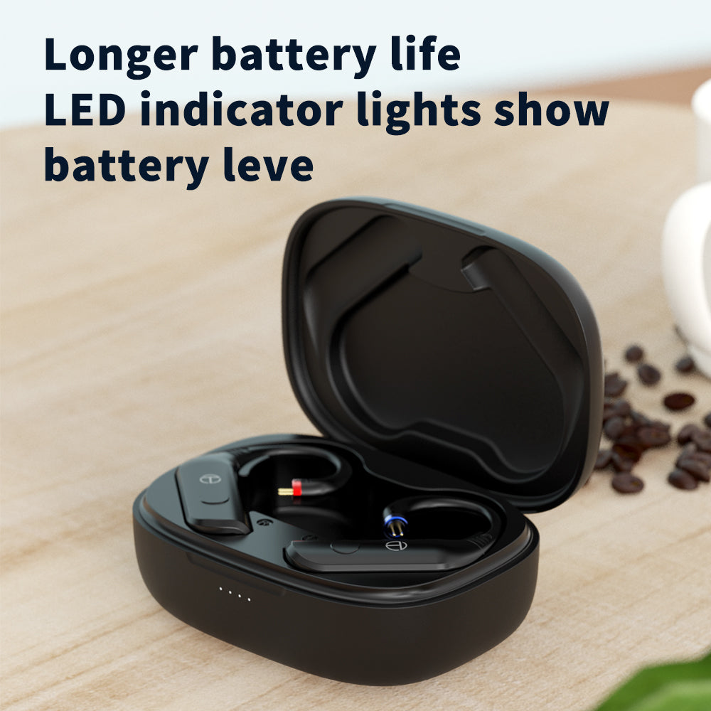 TRN BT20 Pro