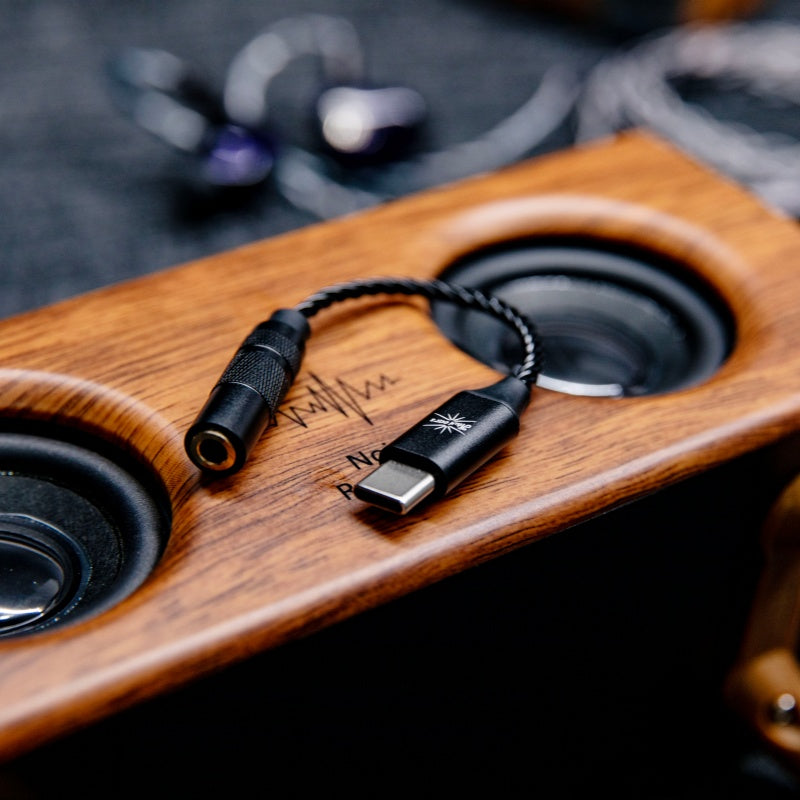 Kiwi Ears AD1 | Premium DAC Adapter Cable for High-Resolution