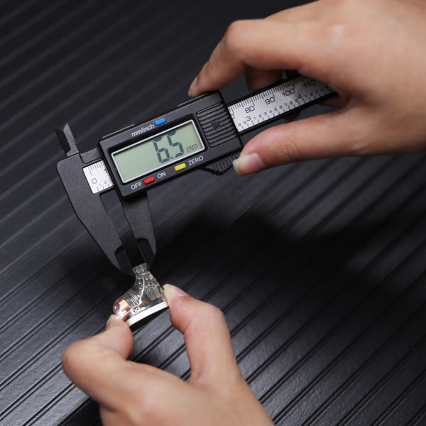 Kiwi Ears Orchestra II