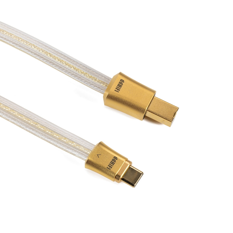 DDHIFI TC19BC Gold