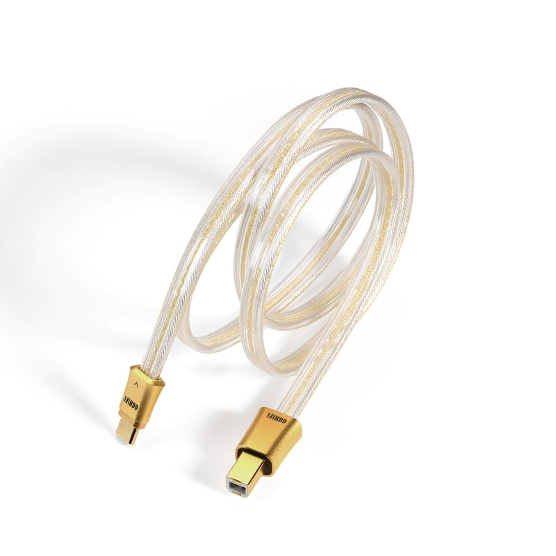 DDHIFI TC19BC Gold