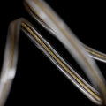 DDHIFI TC19CC Gold