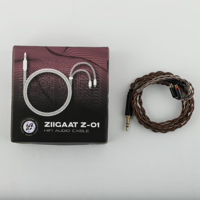 ZiiGaat Z-01