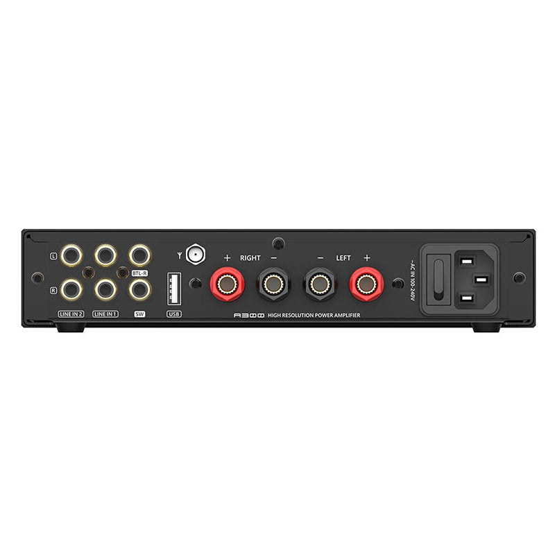 SMSL A300